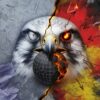 Prediction for the match Team Falcons – BetBoom Team 17.10.2026. Falcons close out the series without the third map.